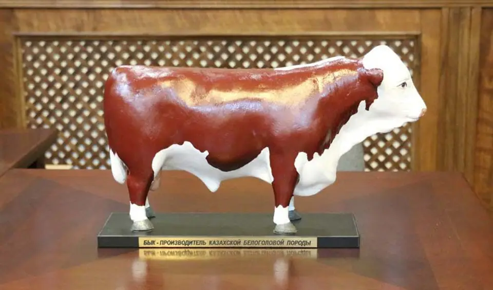 Kazak White Bull — photo 1