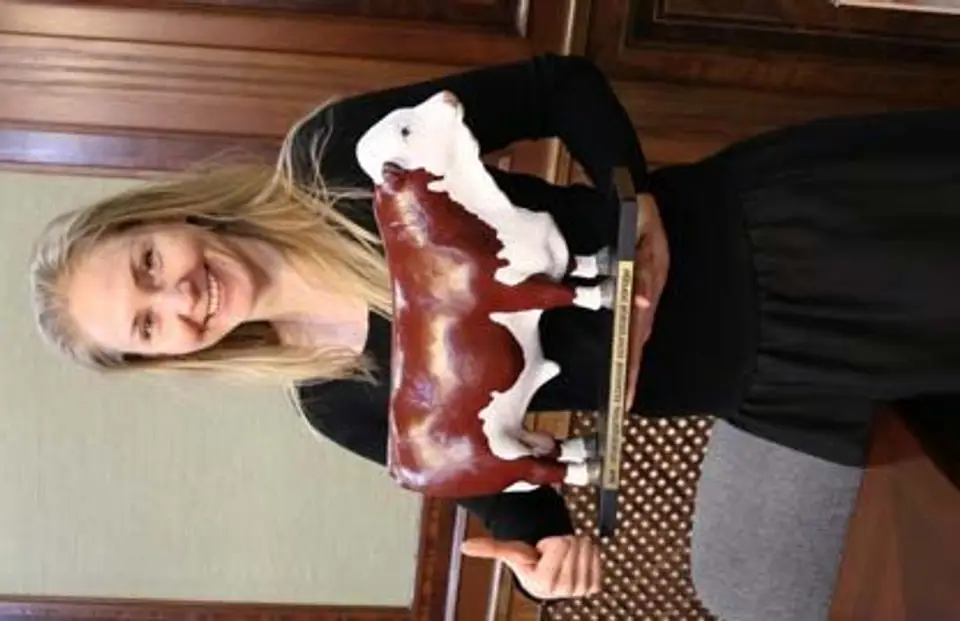 Kazak White Bull — photo 4